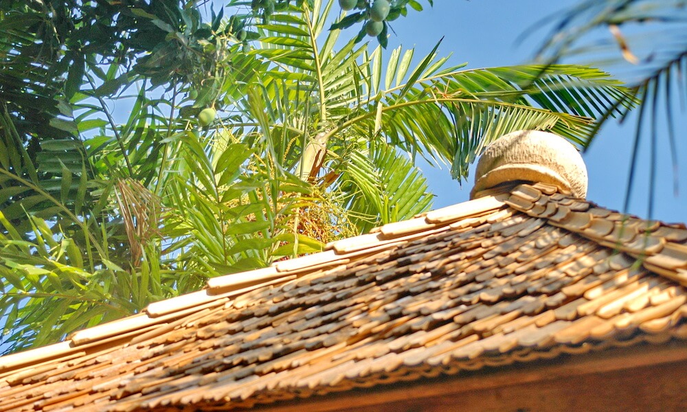Bamboo Roof with Coconut Tree