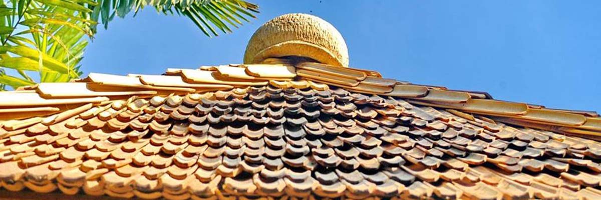 Bamboo Roof