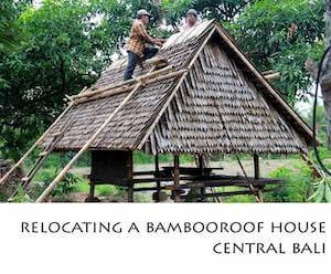 Porfolio Vertical Relocating a Bamboo Roof House Central Bali